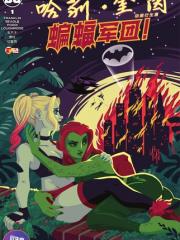 哈莉·奎茵动画：蝙蝠军团！