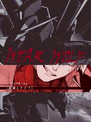 机动战士高达 人狼