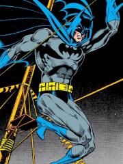 蝙蝠侠：第三年