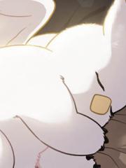 你好，小肥啾格里芬！