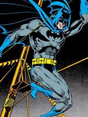 蝙蝠俠：第三年