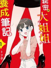 秘密的大姐姐养成笔记