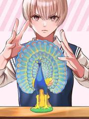 我只是在讲孔雀的事