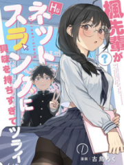 枫前辈对于H的网络用语过于感兴趣了有点头疼