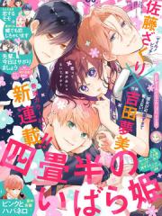 四叠半的睡美人