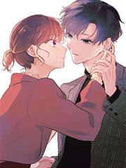 欢迎回来，初恋。