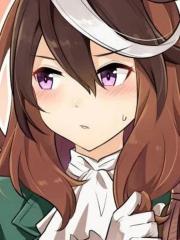 idonum老师赛马娘漫画合集