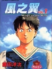 风之翼