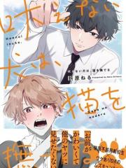 无声的狗抚摸猫